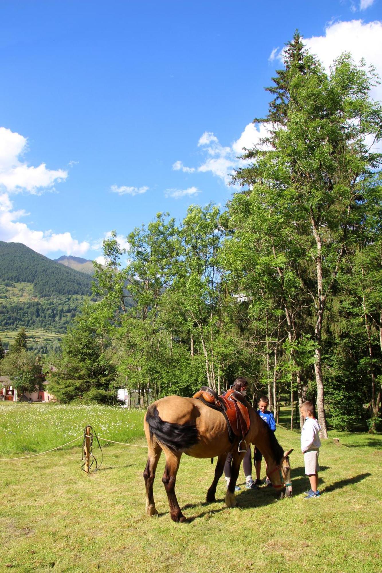 Chalet Presanella เตมู ภายนอก รูปภาพ